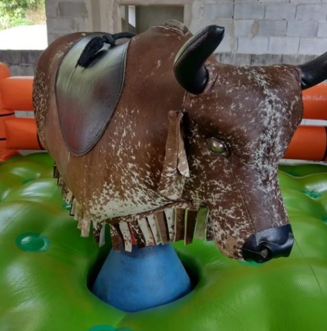 touro-mecanico-1-balão-magico-locação.jpg